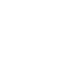 Suandy-Logo