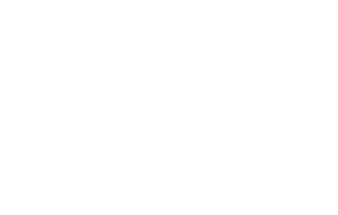 Wonder-Logo