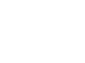 Zwan-Logo